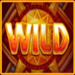 safari wonders wild symbol icon