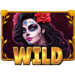 spin of the dead wild symbol icon
