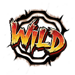 tada gaming high noon wild 2 symbol icon