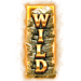 the bonus day nudge wild symbol icon