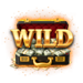 the bonus day wild symbol icon