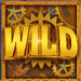 the dream machine wild symbol icon