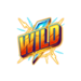 thunder blitz wild symbol icon
