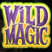 thunderstruck 2 mega moolah wild 2 symbol icon