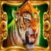 tiger lord imperial 88 wild symbol icon