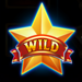 total eclipse xxl wild symbol icon