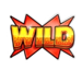 toto wild hot 40 wild symbol icon