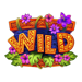 vip fruits wild symbol icon
