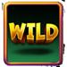 what the fruit wild 1 symbol icon