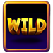 what the fruit wild 2 symbol icon