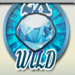 wheel of chance wild symbol icon
