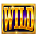 wild fever symbol wild icon