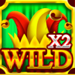 wild joker hot booster wild 2 symbol icon