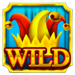 wild joker hot booster wild symbol icon