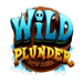 wild plunder wild symbol icon