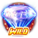 win storm wild symbol icon