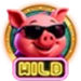 winnie the piggie las vegas wild symbol icon