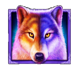 wolf gold 4 pack wild symbol icon