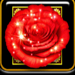 wonder rose wild symbol icon