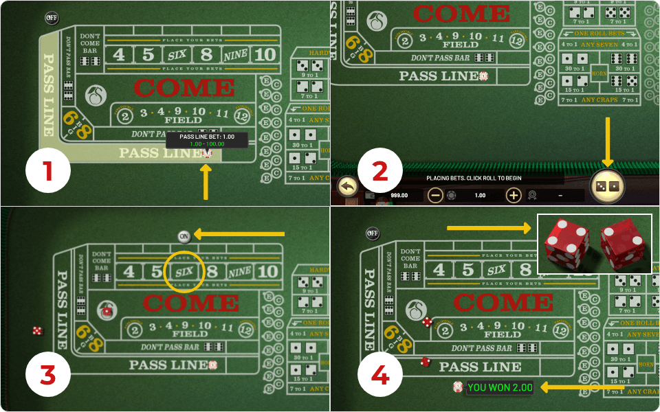 How to Play Craps Beginners Guide