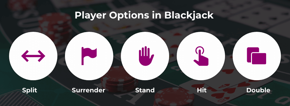 Player options in blackjack