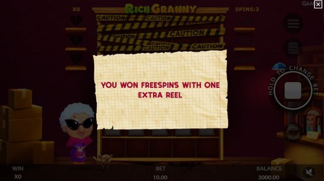 Rich Granny features