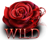 redrose sanctuary wild