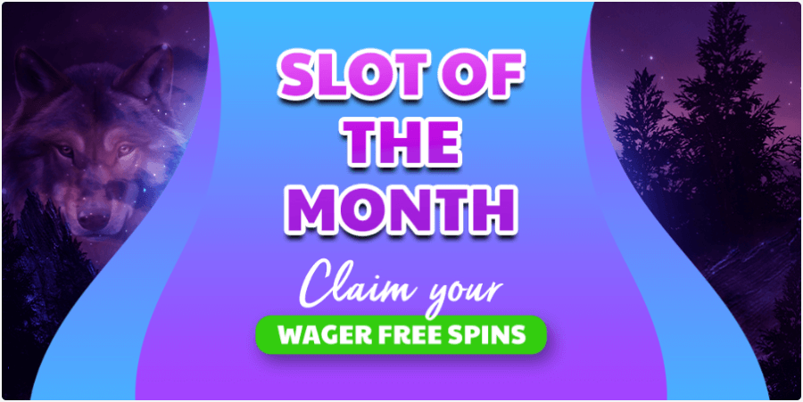 wolfy casino promotions